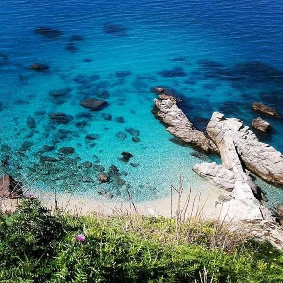 Ninfa Sul Mare Apartments 50 M E T R I Dal Mare Parcheggio Gratuito Custodito Capo Vaticano Exteriér fotografie